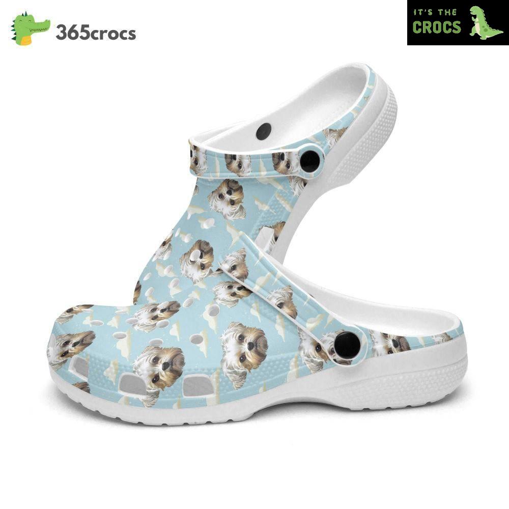 Cool Cute Puppies Power, Retro Groovy Vibes Puppies, Cute Puppies, Maltese Puppy, Maltese Puppies, Maltese Dog, Blue Crocs Clog Shoes