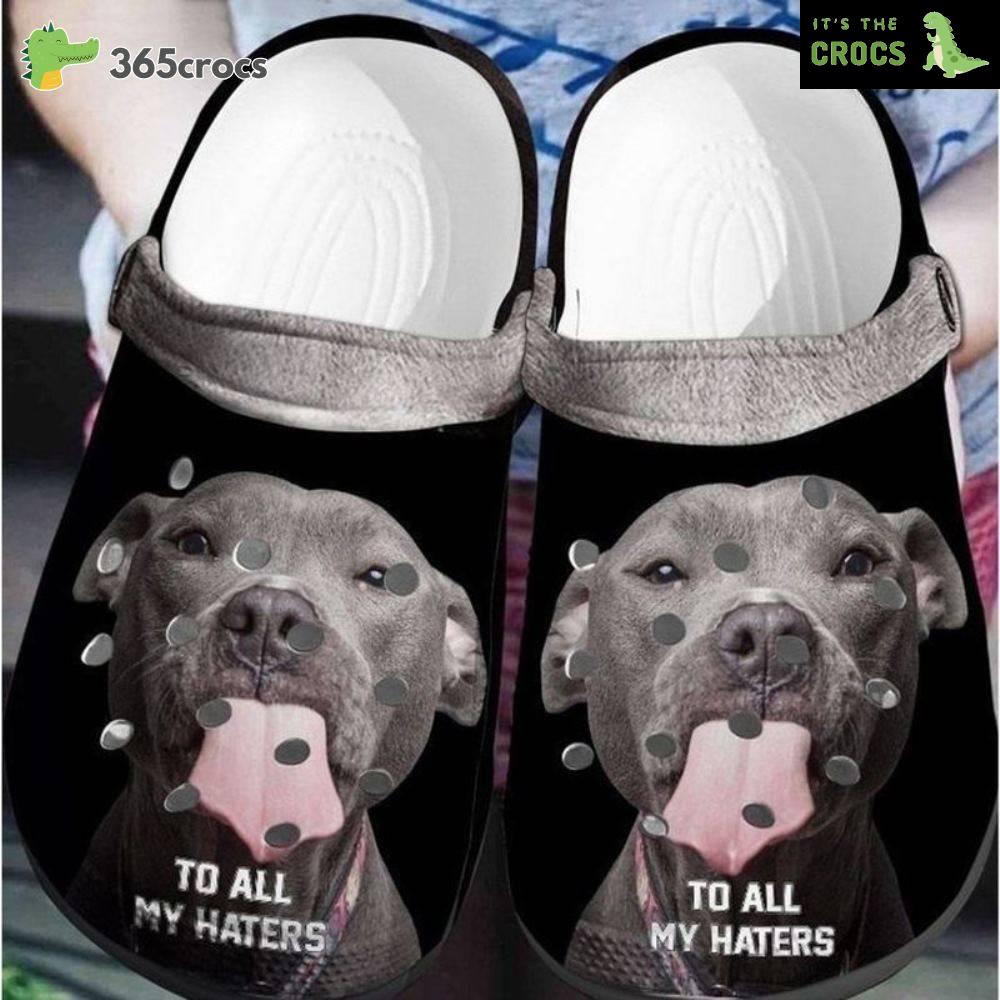 Pitbull To All My Haters Clocsy Shoes Pitbull 3D Print Pet Water Shoes Puppy Lovers Crocs Clog Shoes